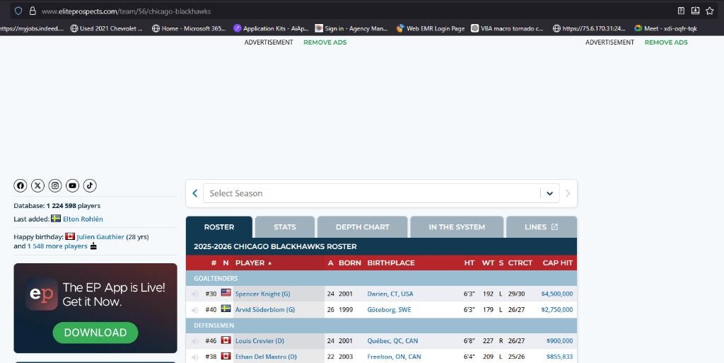 Structured database output for the Chicago Blackhawks 2025–26 roster — confirming successful write-to-disk and CSV generation.